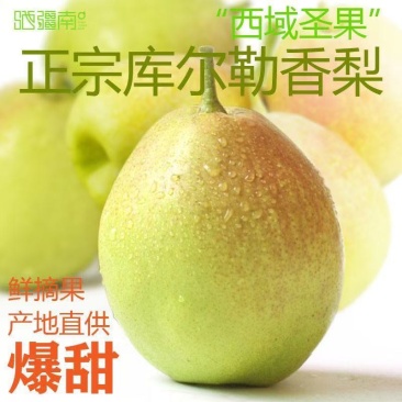 甜脆可口产地直发