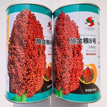 神禾酿金粱8号高粱种子酿酒高粱南方杂交高粱香糯优质食用春季
