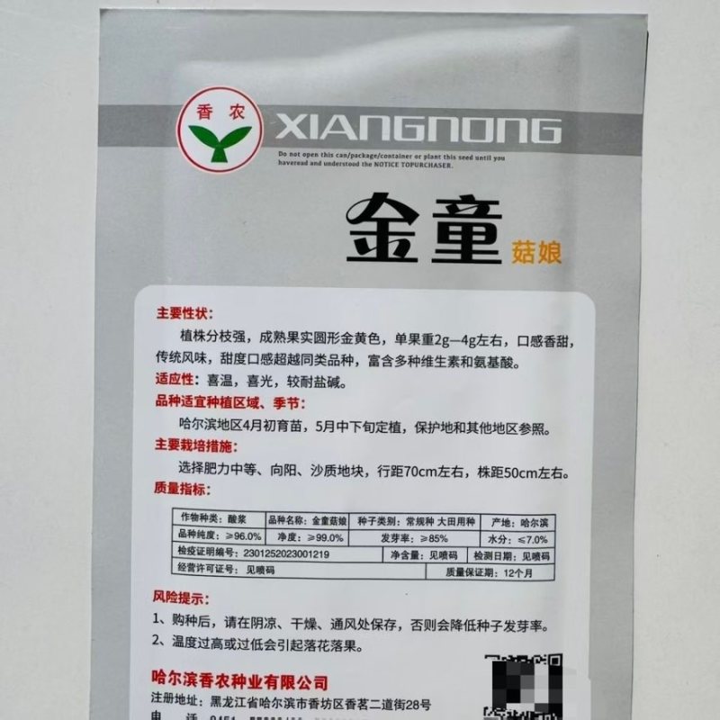 金童甜姑娘种子浆果黄菇娘种子皮薄肉厚甜度高四季播蔬菜水果种子