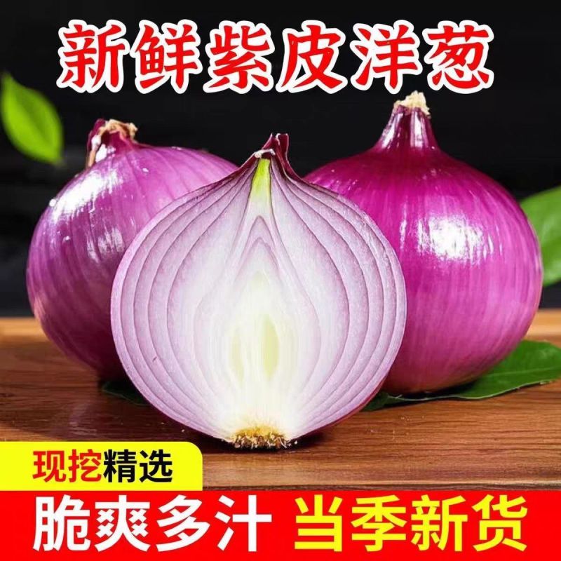 2026新鲜洋葱水果洋葱二红洋葱现挖现发紫红洋葱水果洋葱皮牙
