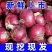 2026新鲜洋葱水果洋葱二红洋葱现挖现发紫红洋葱水果洋葱皮牙