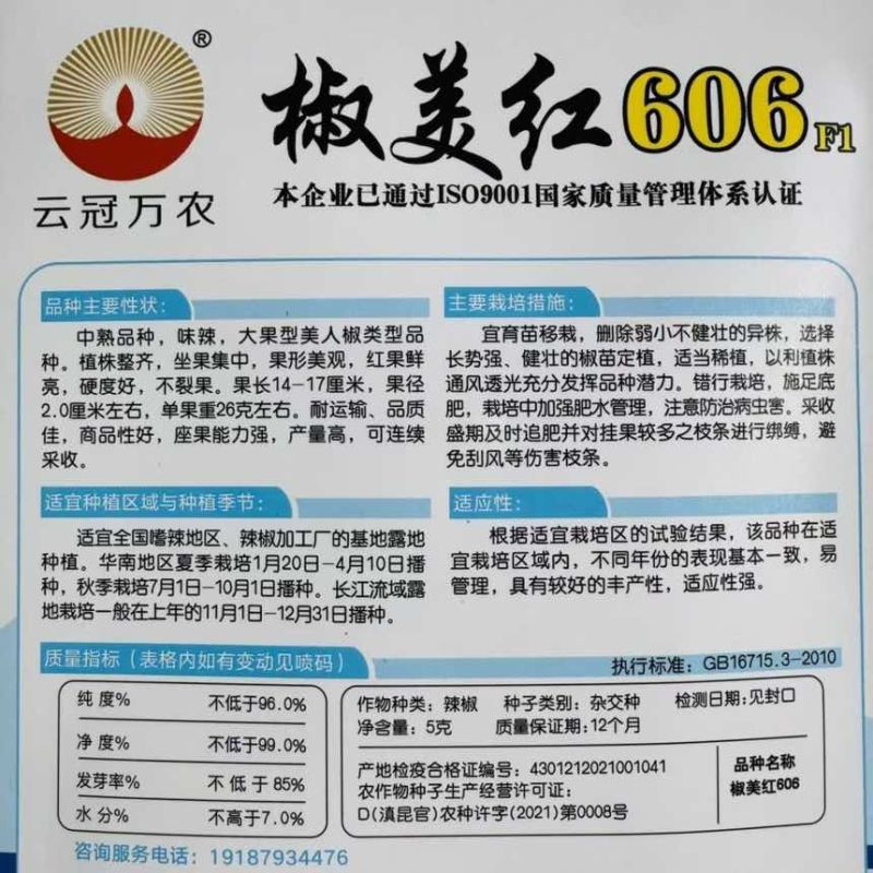 椒美红606中熟杂交大果美人椒种子红果鲜亮硬度好不裂果味辣高