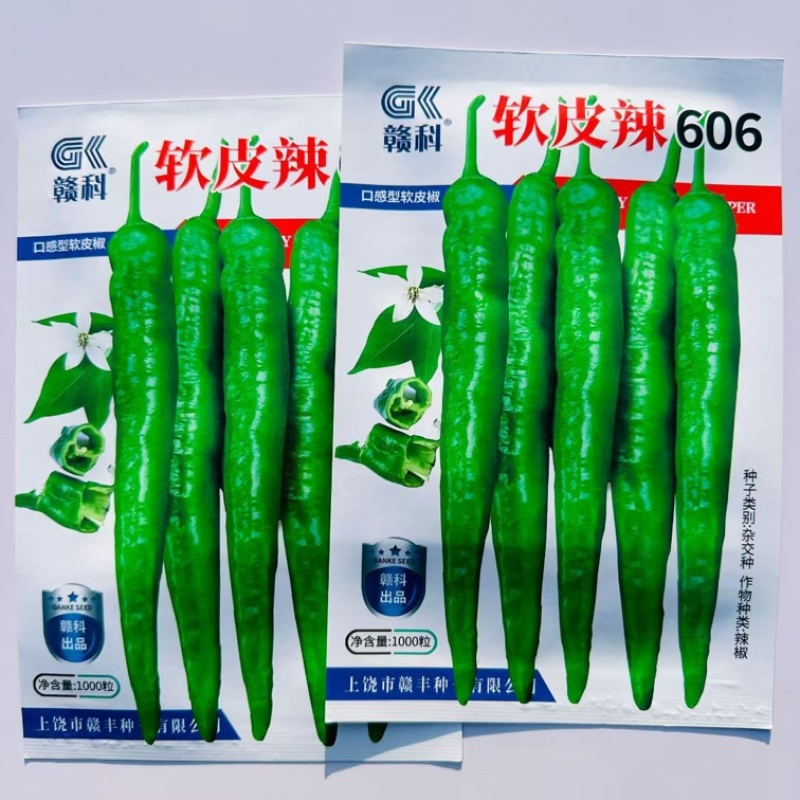 甜霸王新改良一代早熟大果甜杂种子味甜产量高长圆锥形甜椒种籽