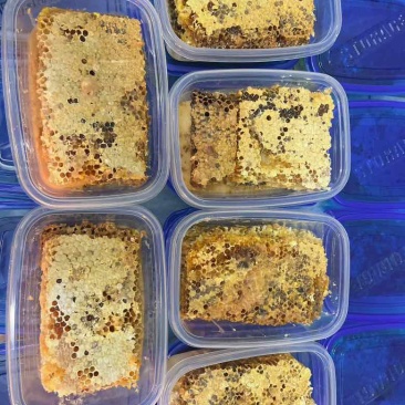深山老林里头的土蜂蜜，没喂糖，***，一年取一次