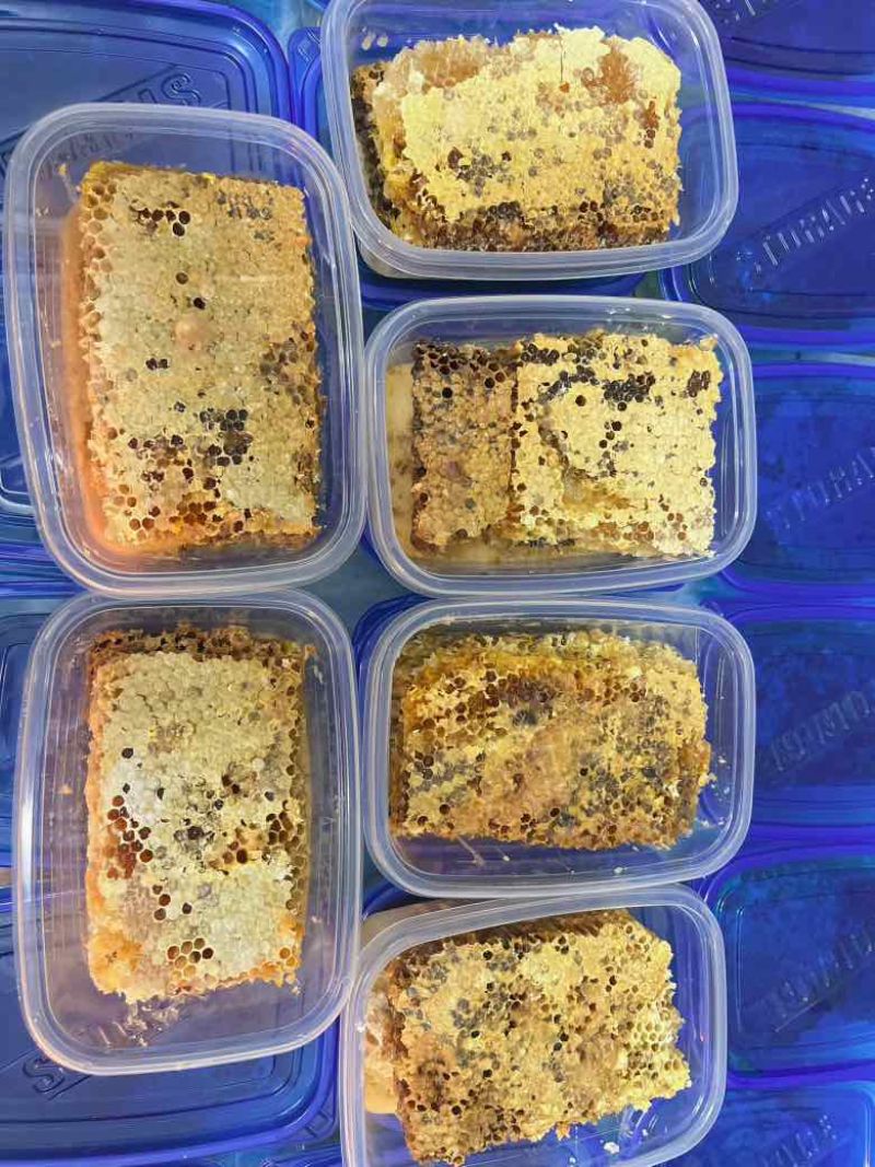 深山老林里头的土蜂蜜，没喂糖，***，一年取一次