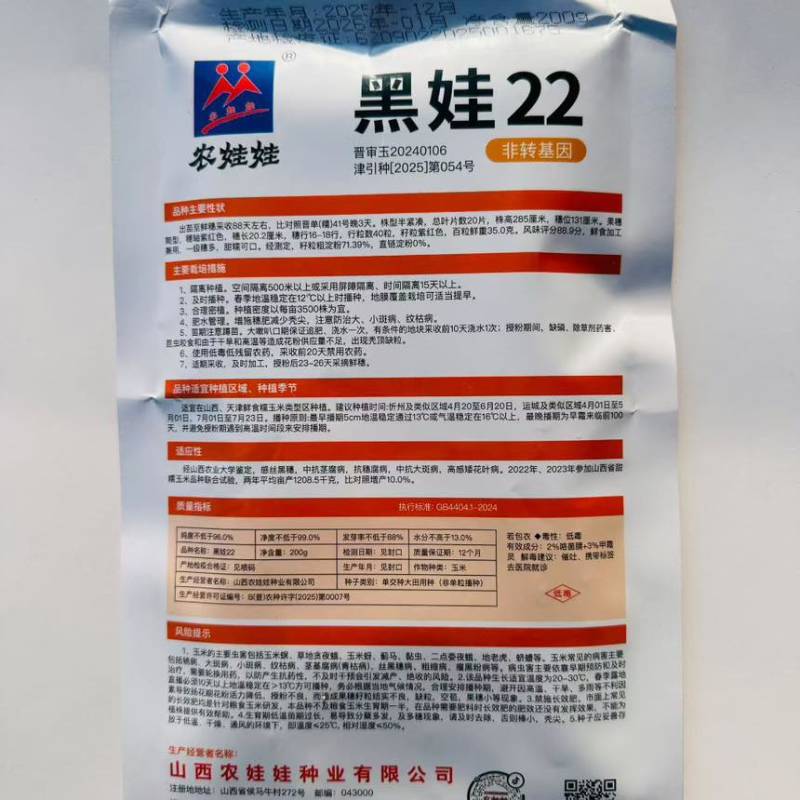 黑娃22非转基因黑糯玉米正宗甜糯黑玉米种子水果玉种子春季有机