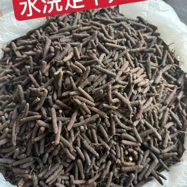 荜拔