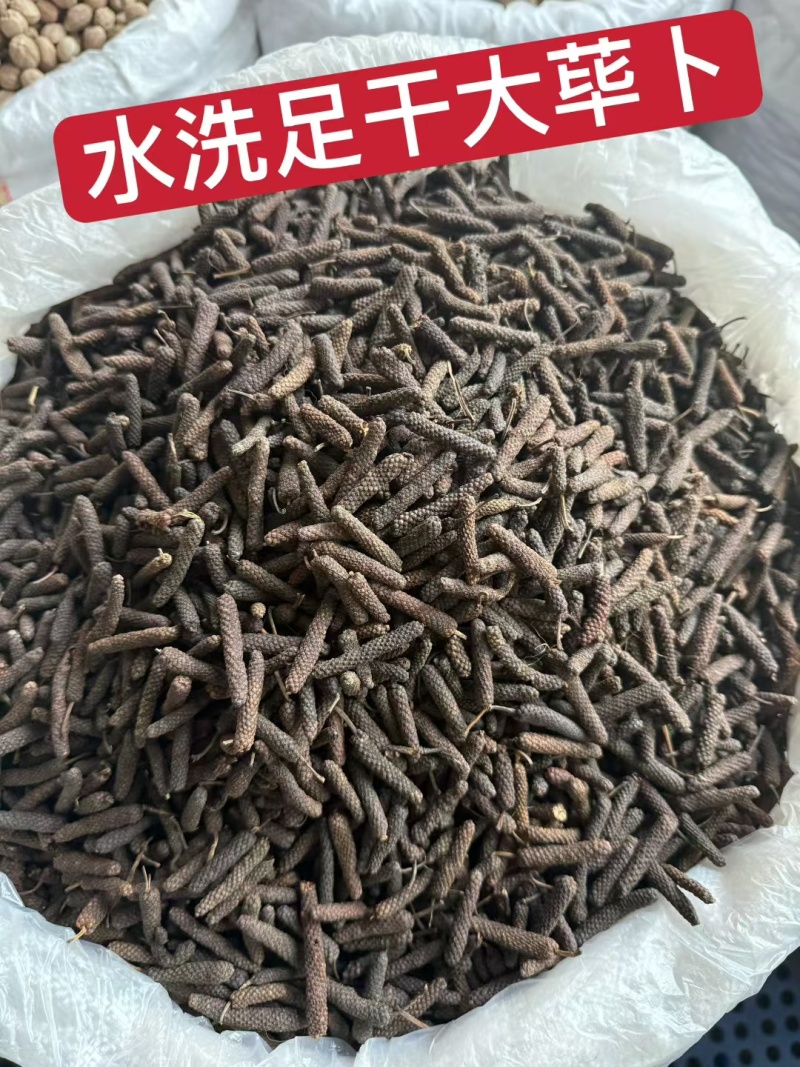 荜拔
