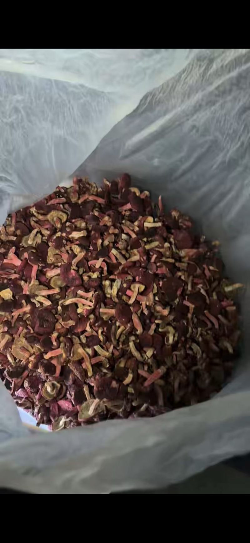 ***野生红菇！精品，价格便宜上车