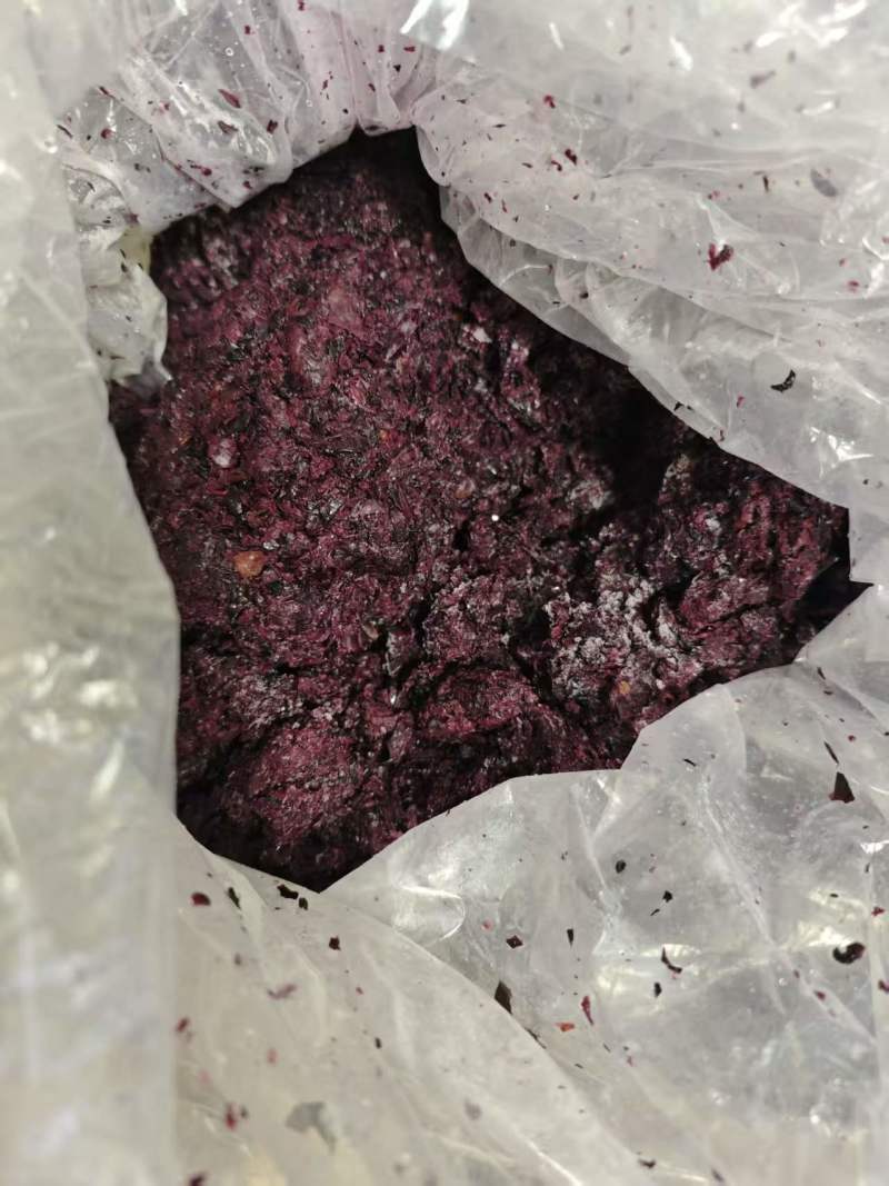 大量各种新鲜果渣