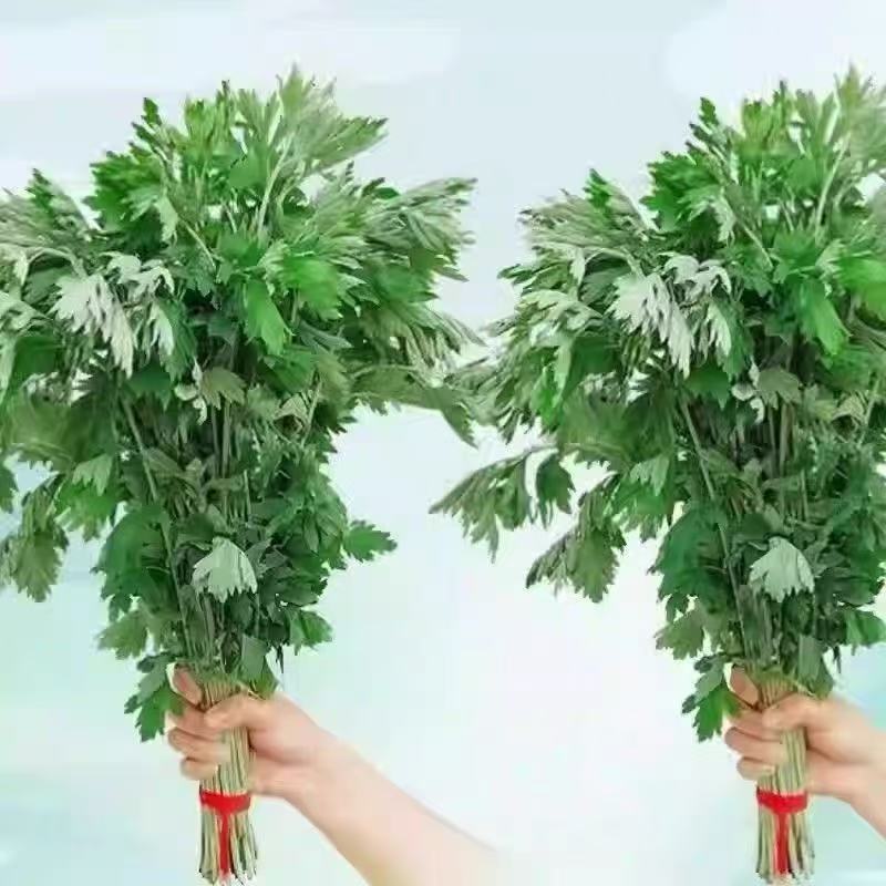 整棵新鲜艾草端午插门艾祈福现割现发五月艾草叶菖蒲悬挂门窗