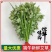 整棵新鲜艾草端午插门艾祈福现割现发五月艾草叶菖蒲悬挂门窗