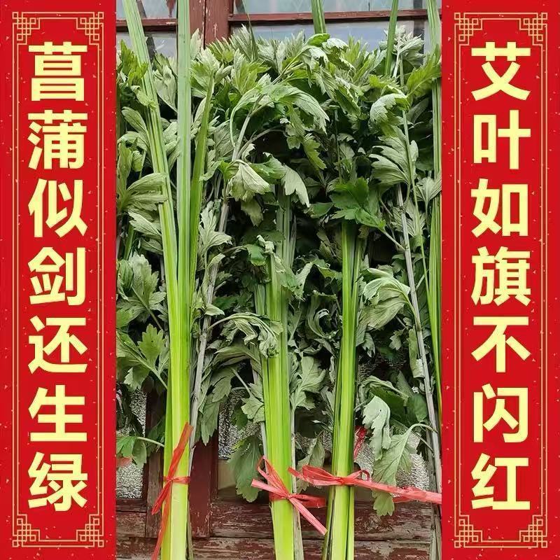 整棵新鲜艾草端午插门艾祈福现割现发五月艾草叶菖蒲悬挂门窗