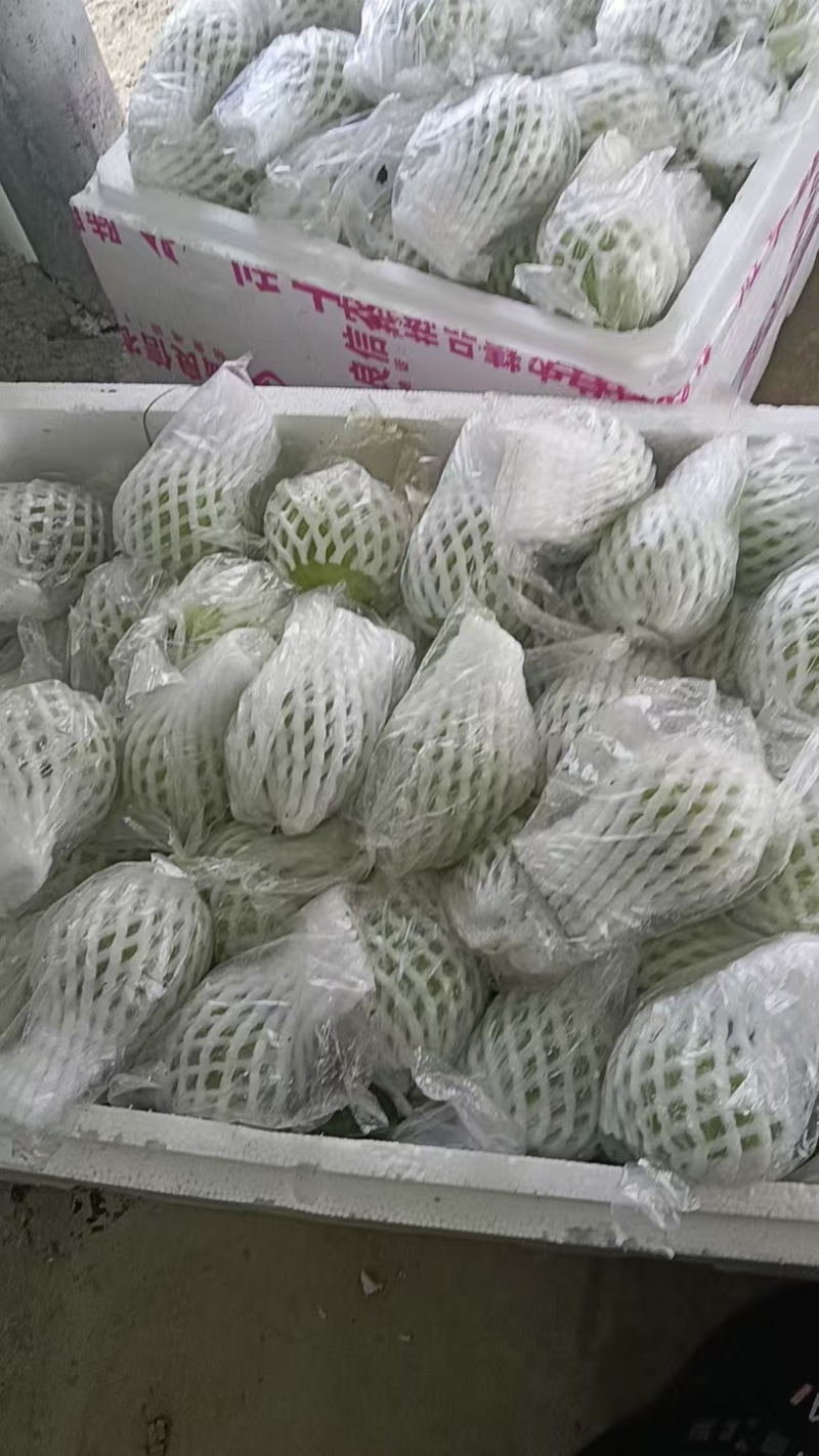芭乐番石榴