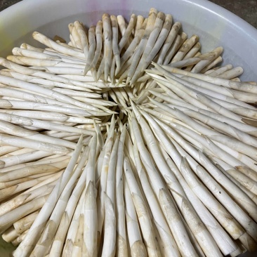 草牙
