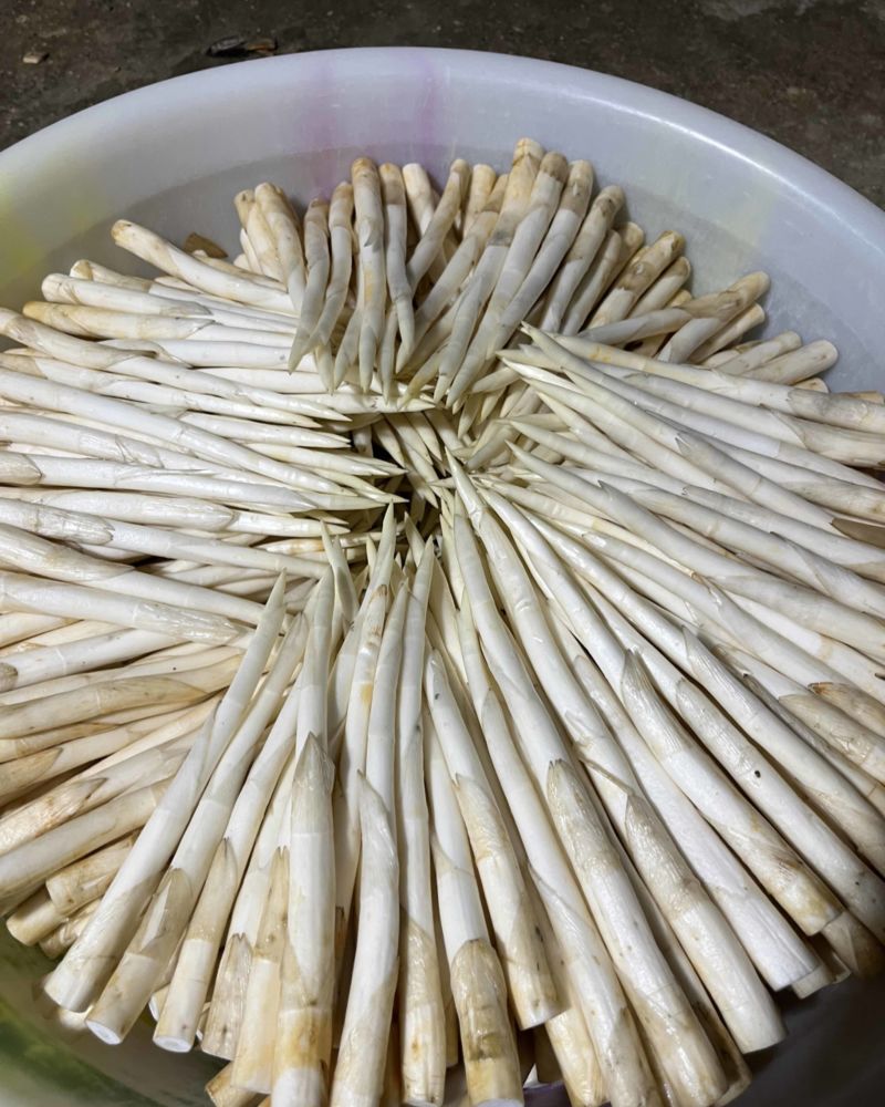 草牙