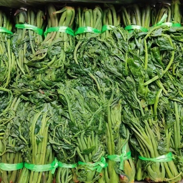临朐红香椿咸菜