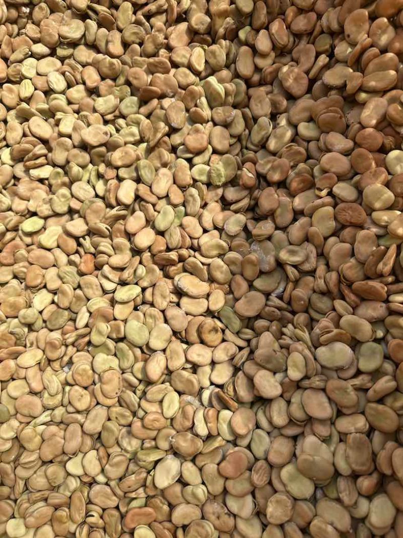 四川干蚕豆粒养殖蚕豆食品加工胡豆兰花豆可开发票