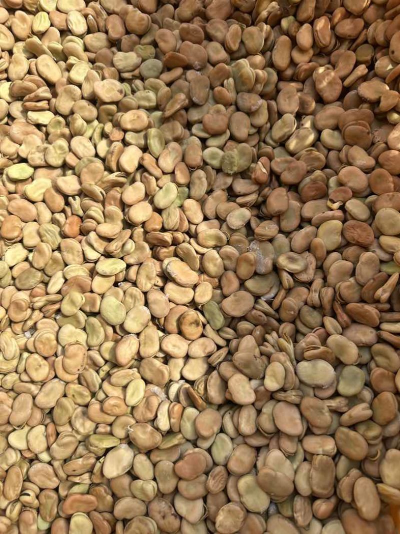 四川干蚕豆粒养殖蚕豆食品加工胡豆兰花豆可开发票