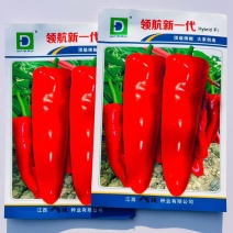 大家族红果专用牛角椒种子**新一代1000粒