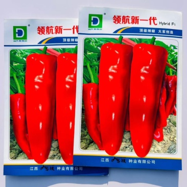 大家族红果专用牛角椒种子**新一代1000粒