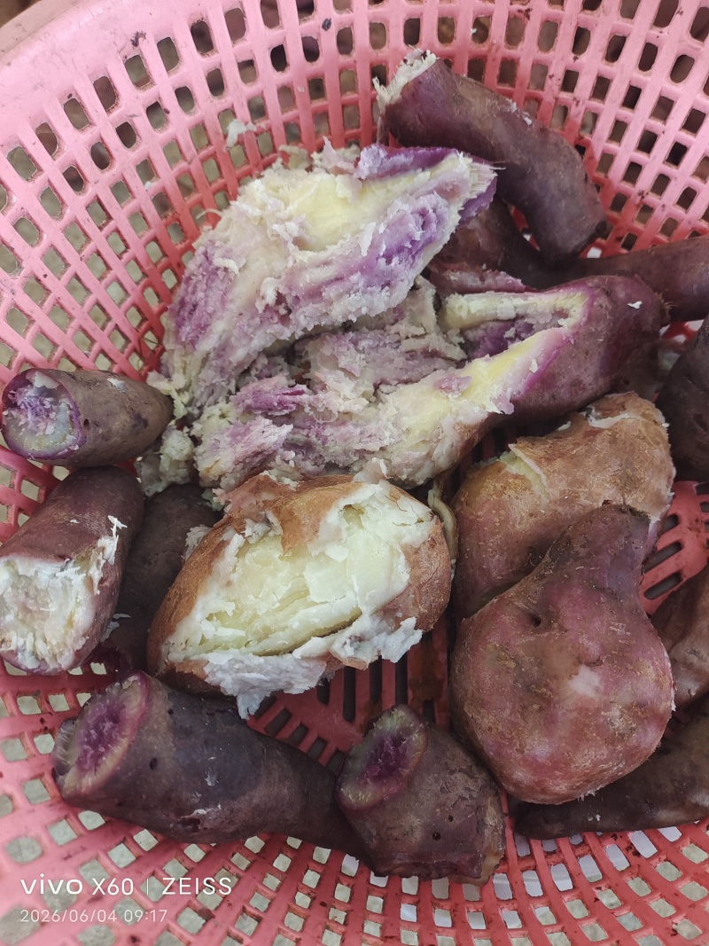 冰淇淋一点红地摊货