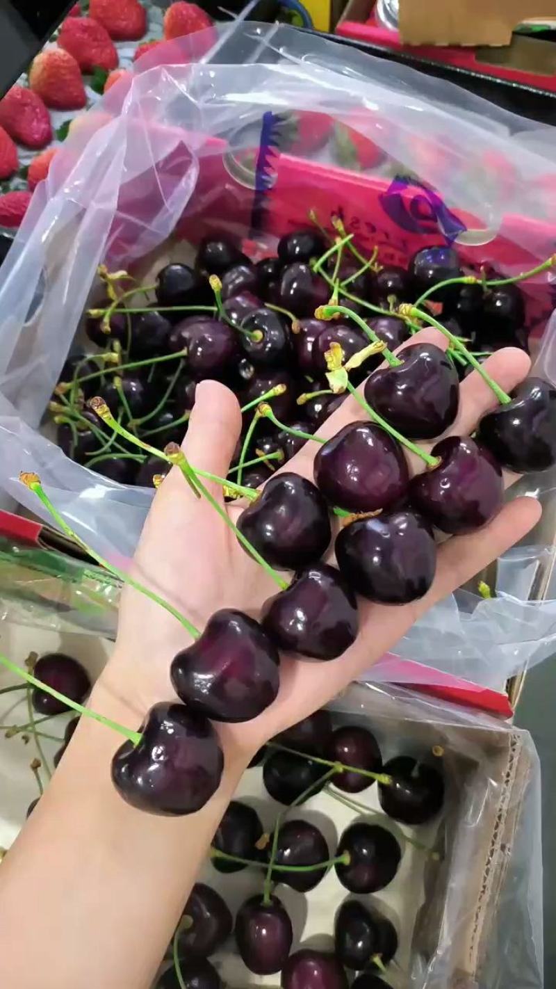 樱桃大连美早234J规格齐全基地直销质量保证