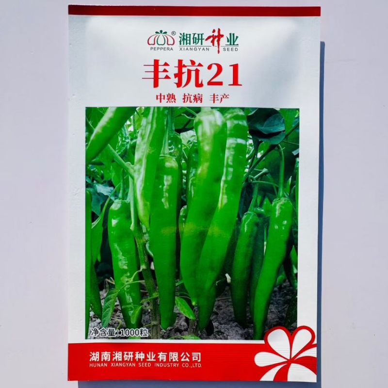 湘研丰抗21辣椒种子中熟高产耐热耐旱长牛角椒种子皮薄味辣青椒
