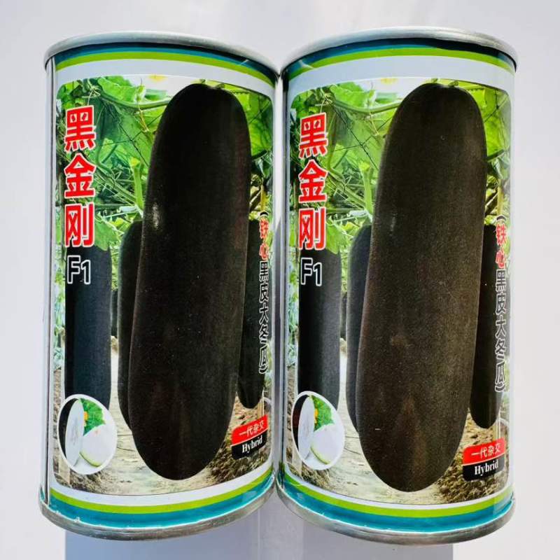 桂蔬7号杂交黑皮冬瓜种子长圆筒炮弹形冬瓜种籽春秋播种蔬菜种子