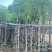 蓝花楹5-20分，骨架，截杠，基地直销，一手货源，大量低价出