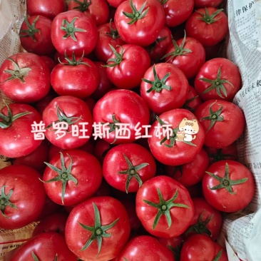 普罗旺斯西红柿