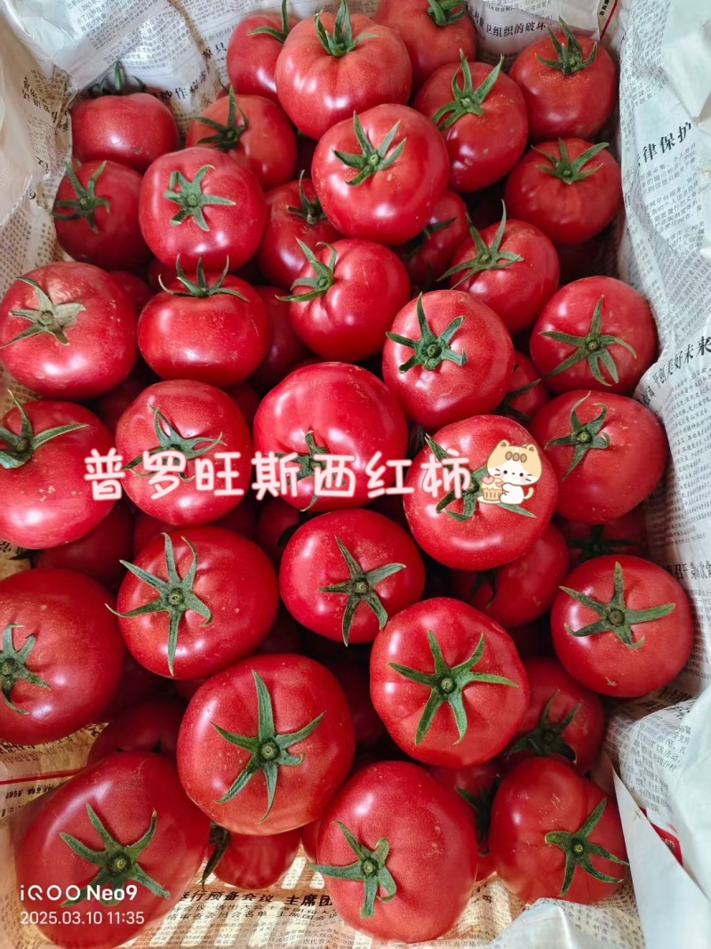 普罗旺斯西红柿