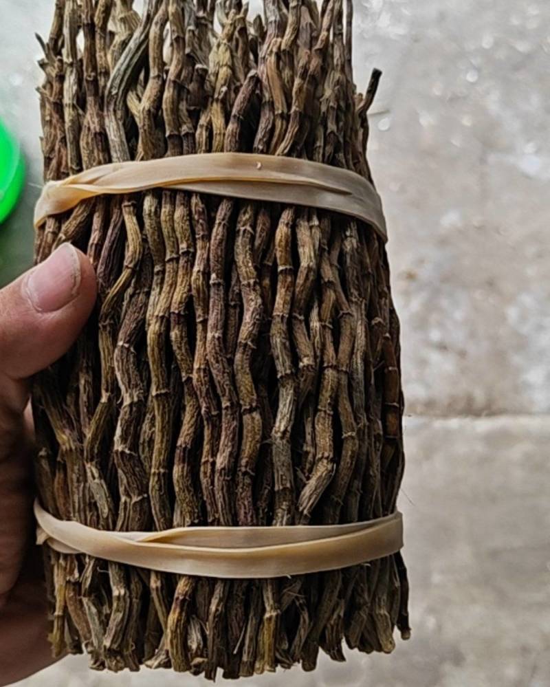 铁皮石斛捆条