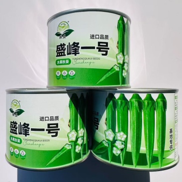 盛峰一号水果黄秋葵种子早熟杂交高产耐老化坐果力强秋葵籽春夏播