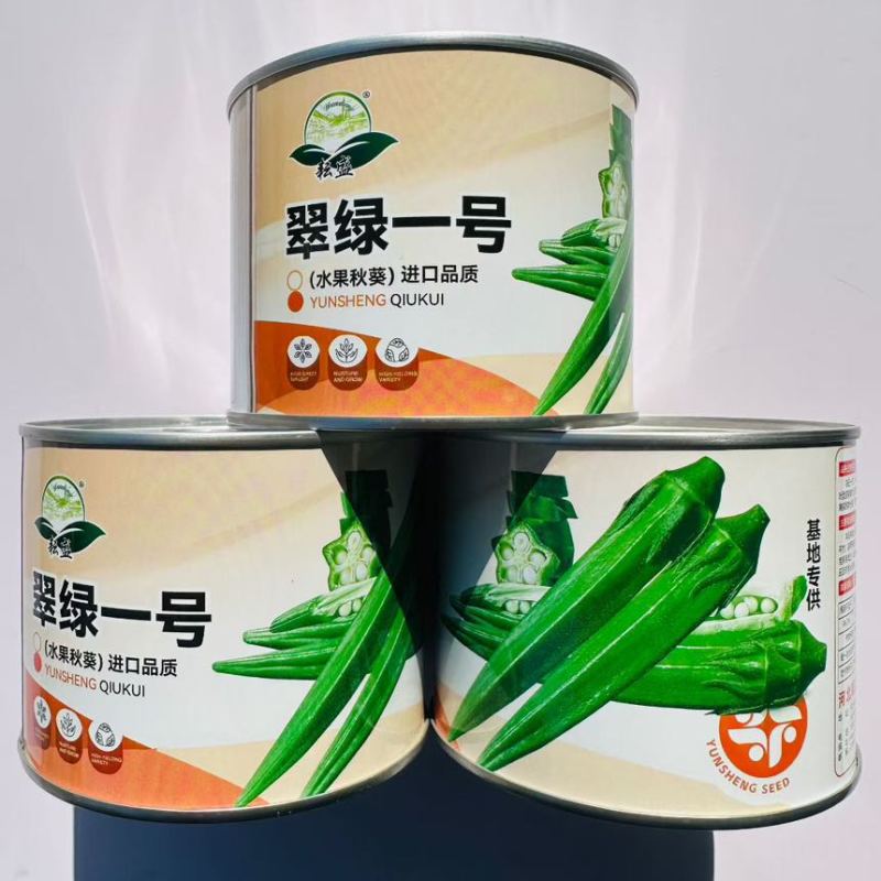 盛峰一号水果黄秋葵种子早熟杂交高产耐老化坐果力强秋葵籽春夏播
