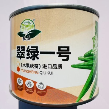 盛峰一号水果黄秋葵种子早熟杂交高产耐老化坐果力强秋葵籽春夏播