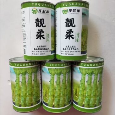 靓柔贡菜种子高产耐热耐寒春秋播种速生速长高产型贡菜蔬菜种籽孑