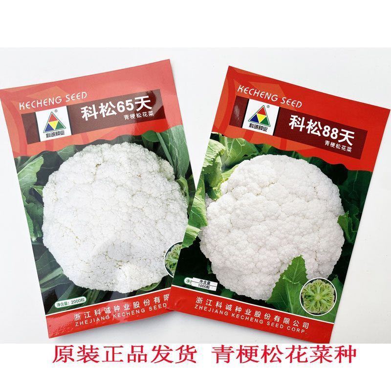 科松6588天青梗松花菜种籽高产早熟耐热春秋绿梗花椰菜花菜