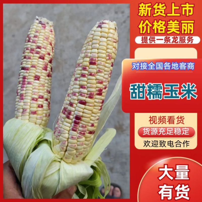四川鲜玉米