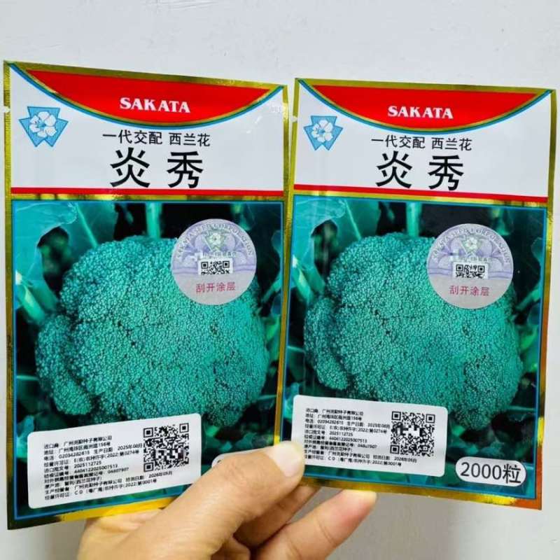炎秀西兰花种子进口一代杂交西兰花品种西蓝花花椰菜种子绿色花菜