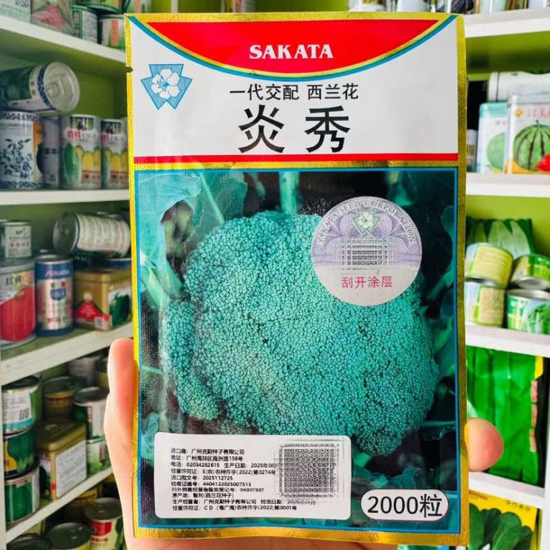 炎秀西兰花种子进口一代杂交西兰花品种西蓝花花椰菜种子绿色花菜