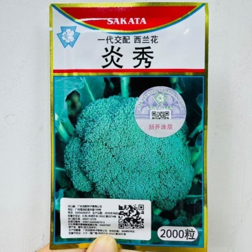 炎秀西兰花种子进口一代杂交西兰花品种西蓝花花椰菜种子绿色花菜