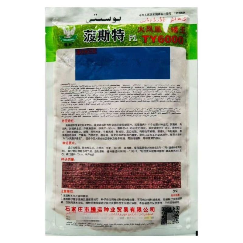 波斯特火凤凰夏种菠菜种子耐高温耐抽苔油绿叶厚高产抗病种子批发