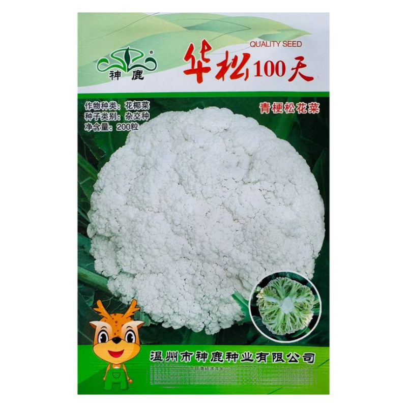 华松100天中熟品种一代杂交青梗花椰菜种子高产四季高产花菜蔬