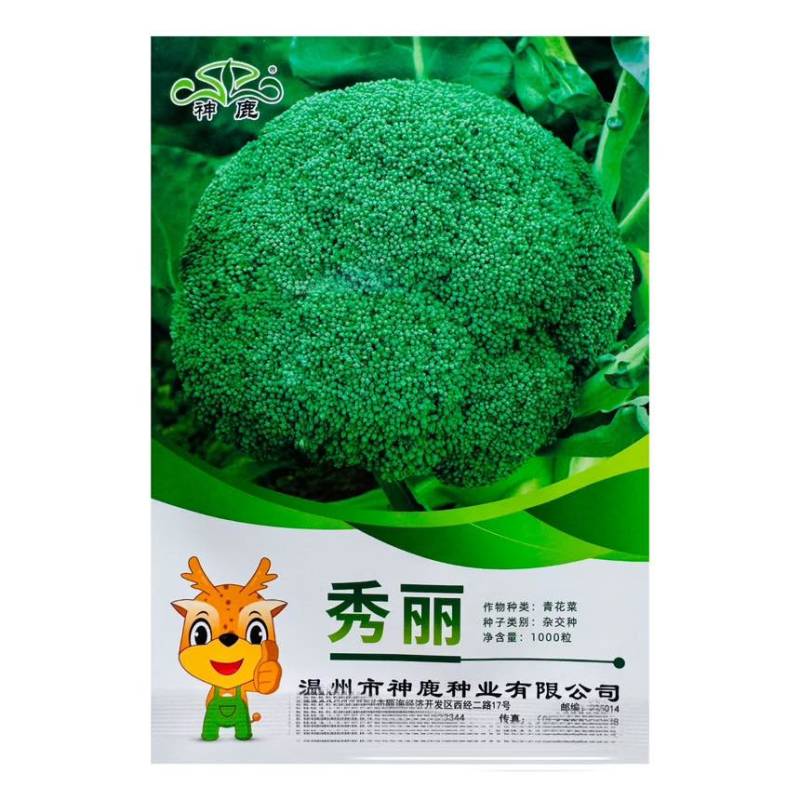 秀丽早熟优秀西兰花花椰菜种子四季蔬菜种1000粒