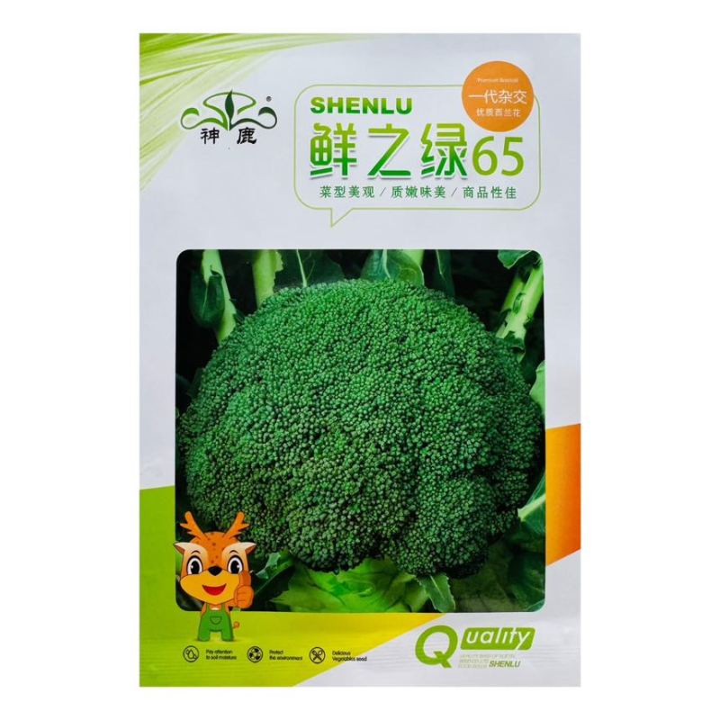 鲜之绿65西兰花种子耐寒早熟西蓝花花椰菜种籽子四季蔬菜种20