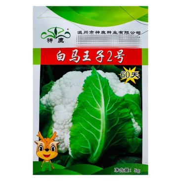 白马王子2号早熟花椰菜种子花球洁白紧实菜花鲜美可口耐运输适应