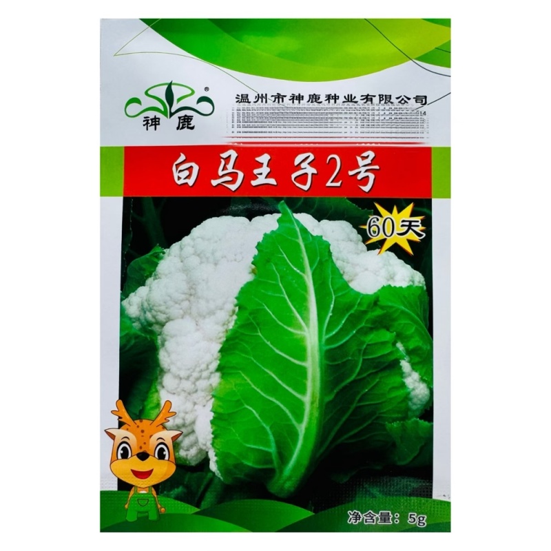 白马王子2号早熟花椰菜种子花球洁白紧实菜花鲜美可口耐运输适应