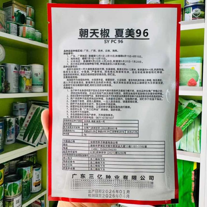夏美96大果型耐热泰系朝天椒辣椒种子杂交一代大果泰系朝天椒