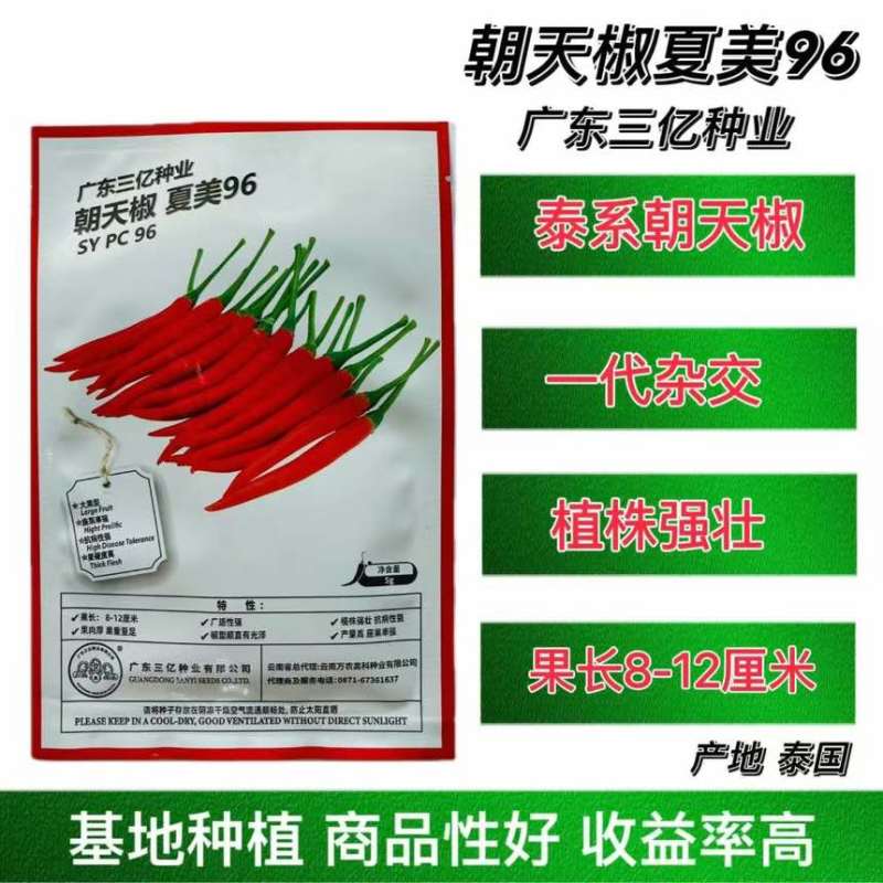 夏美96大果型耐热泰系朝天椒辣椒种子杂交一代大果泰系朝天椒